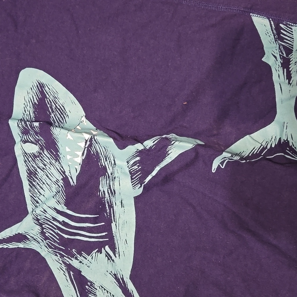 Lot Of 2 LS Blue Graphic Tees Sz XL/12 - Picture 5 of 5